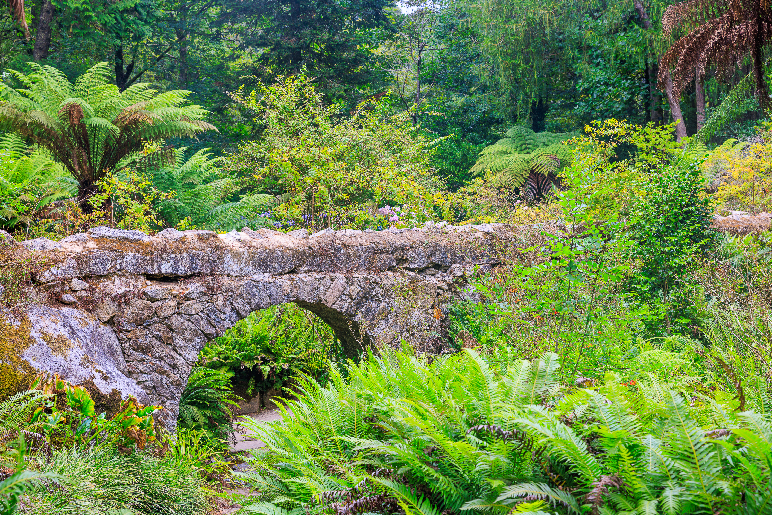 Brücke