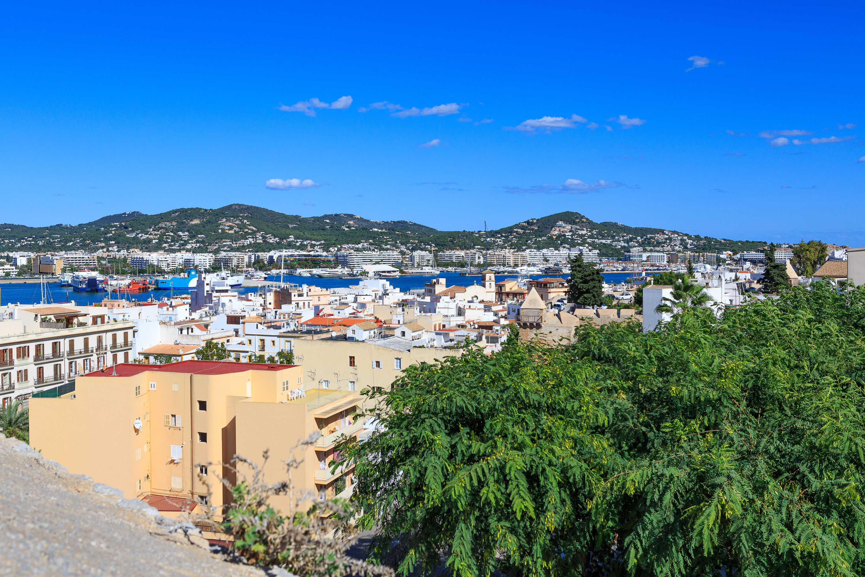 Hafen von Ibiza